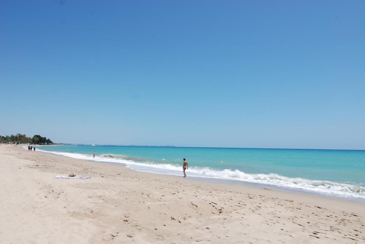 Zeus Guardamar Seaview Apartment Miami Playa ภายนอก รูปภาพ