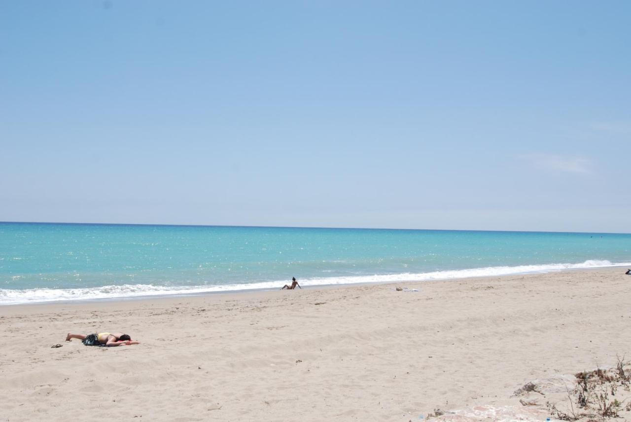 Zeus Guardamar Seaview Apartment Miami Playa ภายนอก รูปภาพ